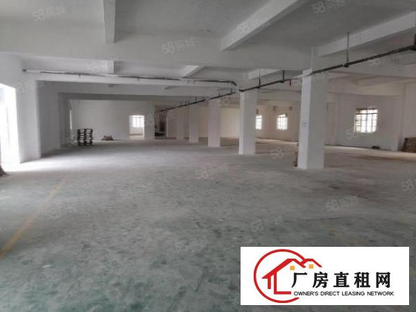 清溪荔横村工业区一楼标准厂房2020平米低价出租