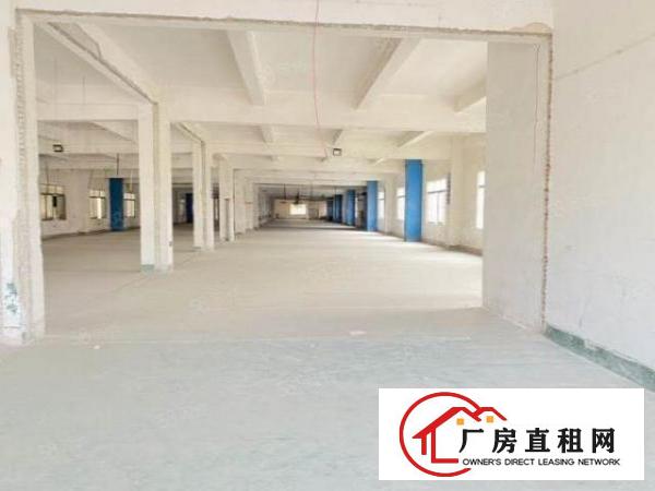  清溪镇罗马村新出一楼660平新建厂房，格局方正，交通便利！！