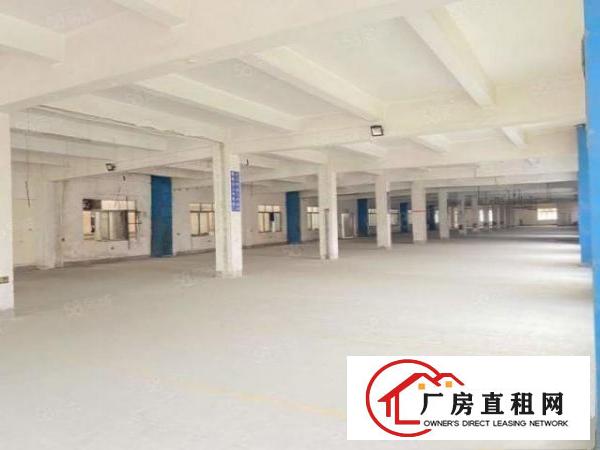  清溪镇罗马村新出一楼660平新建厂房，格局方正，交通便利！！