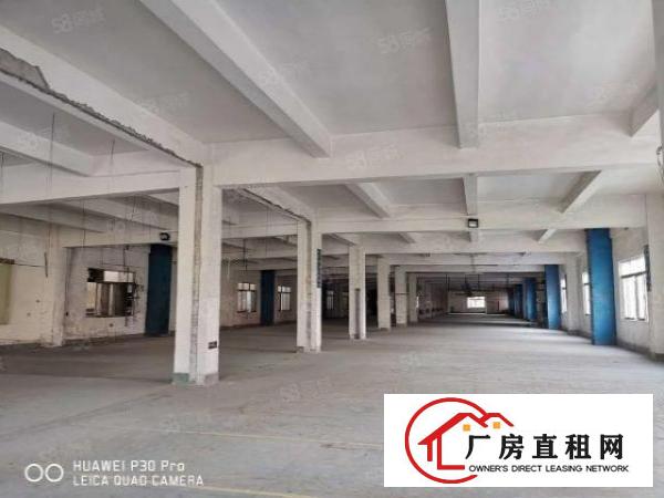  清溪镇罗马村新出一楼660平新建厂房，格局方正，交通便利！！