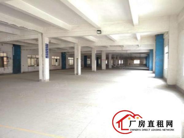  清溪镇罗马村新出一楼660平新建厂房，格局方正，交通便利！！