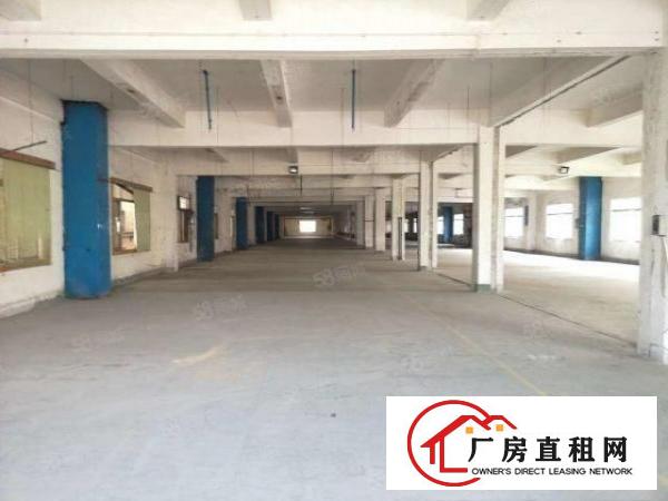  清溪镇罗马村新出一楼660平新建厂房，格局方正，交通便利！！