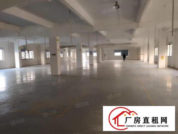  清溪三中靠近塘厦凤岗三楼精装修厂房1600平方米出租可做口罩