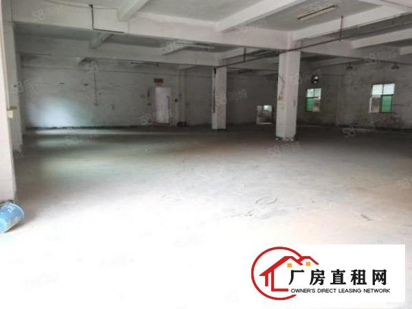  （小独院）清溪镇三星原房东低价实际面积2300平厂房出租
