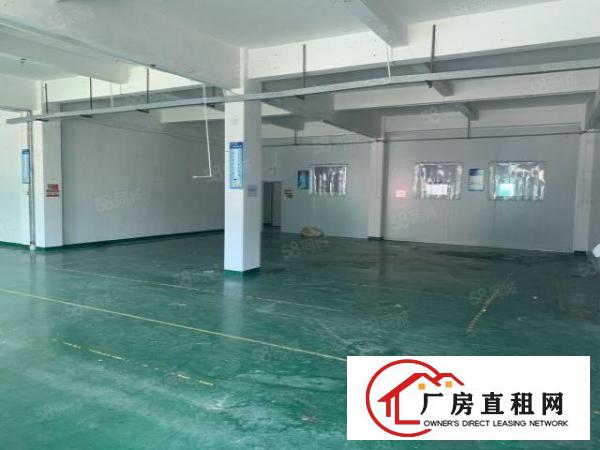  清溪大利新出原房东全新楼上一整层1120平方带现成装修