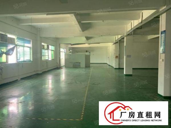  清溪大利新出原房东全新楼上一整层1120平方带现成装修