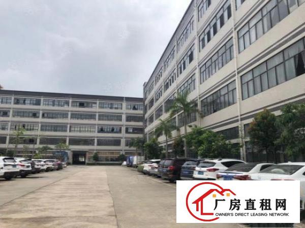  清溪原房东花园式标准独院厂房，形象好，空地大，离高速出口近