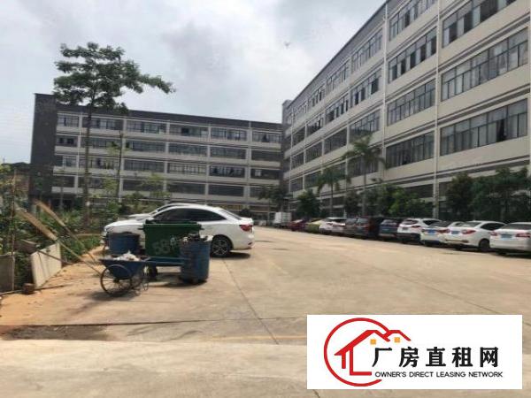  清溪原房东花园式标准独院厂房，形象好，空地大，离高速出口近