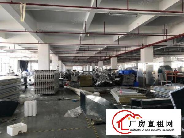  清溪原房东花园式标准独院厂房，形象好，空地大，离高速出口近
