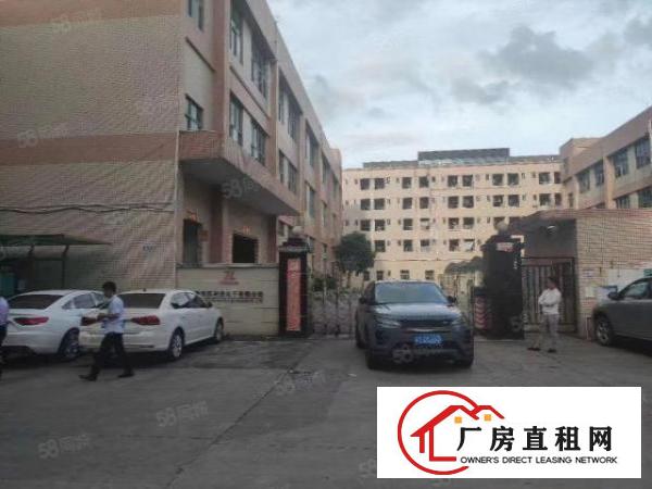  清溪三中新出原房东厂房楼上1500平方带现成的装修地坪漆