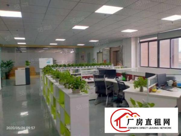  清溪三中新出原房东厂房楼上1500平方带现成的装修地坪漆