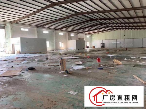  清溪高速路口4800平独院厂房出租，大小好分！