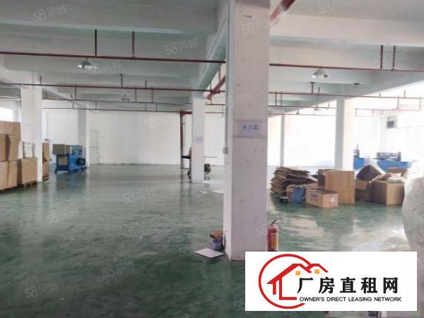  清溪大利原房东厂房出租2楼900平方水电齐全带办公室可做电池