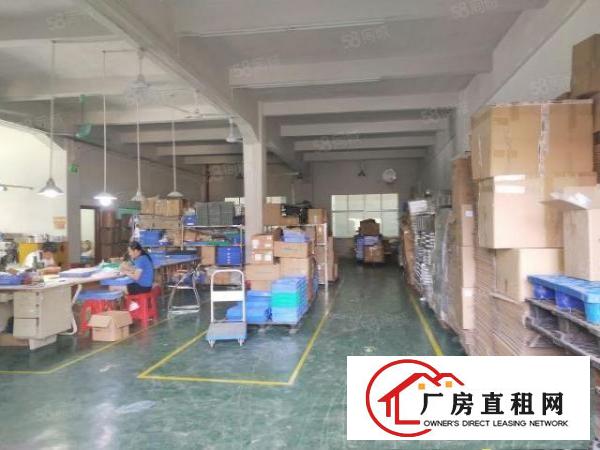  清溪大利原房东厂房出租2楼900平方水电齐全带办公室可做电池