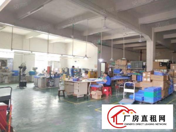  清溪大利原房东厂房出租2楼900平方水电齐全带办公室可做电池