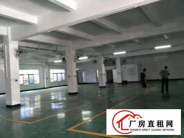  清溪镇青湖园区空出楼上700平精装修厂房实业客低价转让厂房