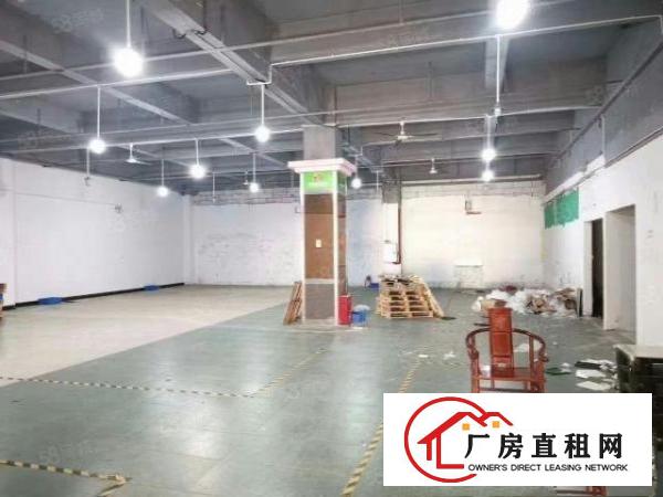  清溪镇新出标准厂房一楼1200平方出租，带现成办公室装修。