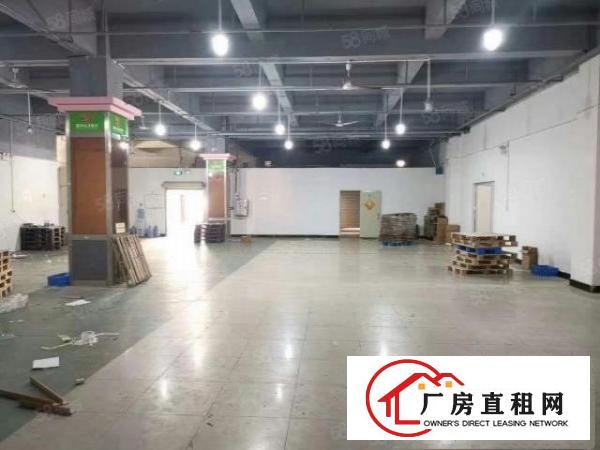  清溪镇新出标准厂房一楼1200平方出租，带现成办公室装修。