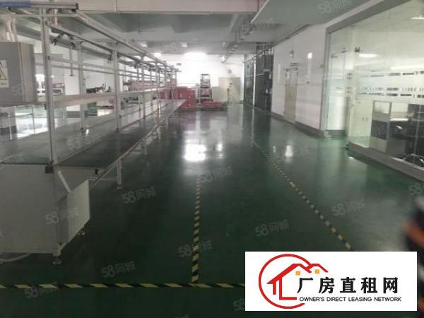  清溪镇三中村新空出豪华装修三楼1500平厂房出租！面积实在！