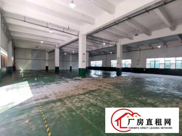  原房东厂房清溪新出一楼7米高980平方无公摊厂房出租