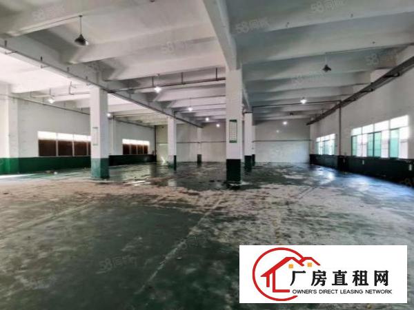  原房东厂房清溪新出一楼7米高980平方无公摊厂房出租