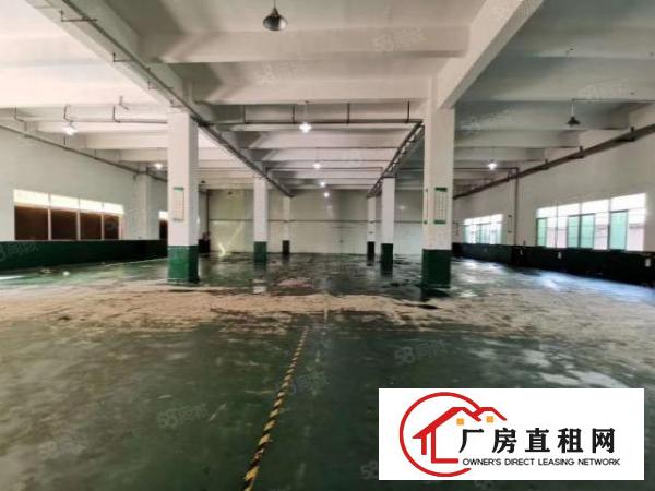  原房东厂房清溪新出一楼7米高980平方无公摊厂房出租
