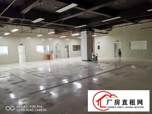  清溪夏坭工业区全新标准厂房出租36000平500平方起分租