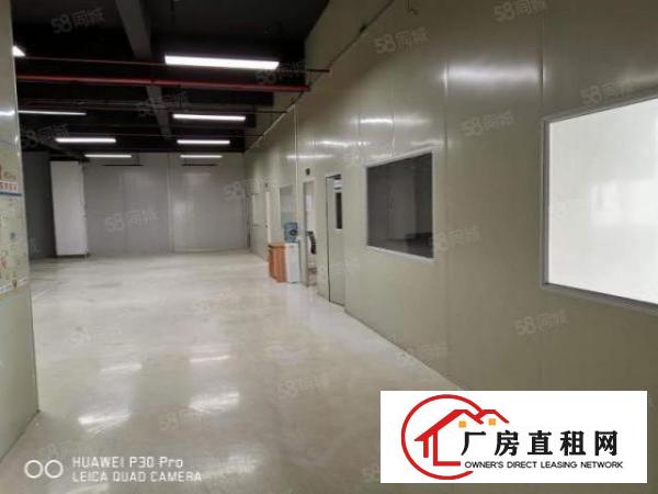  清溪夏坭工业区全新标准厂房出租36000平500平方起分租