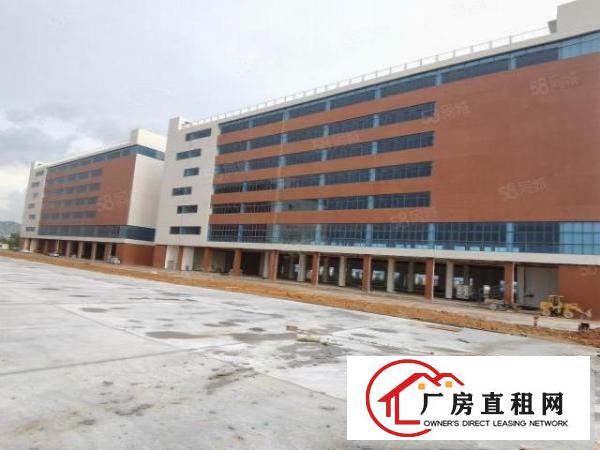  清溪镇国有证红本厂房12万平出租2500平起分租
