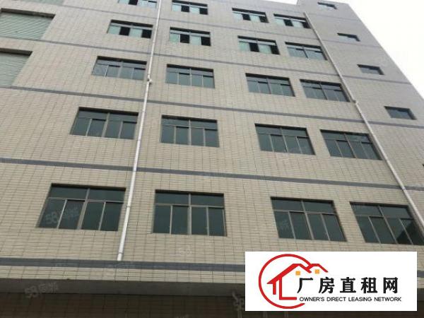  清溪全新一楼950平方米厂房出租，原房东！！！