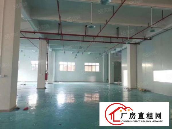  清溪全新一楼950平方米厂房出租，原房东！！！