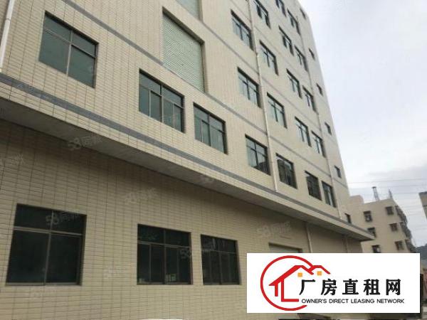  清溪全新一楼950平方米厂房出租，原房东！！！