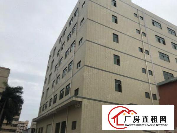  清溪全新一楼950平方米厂房出租，原房东！！！