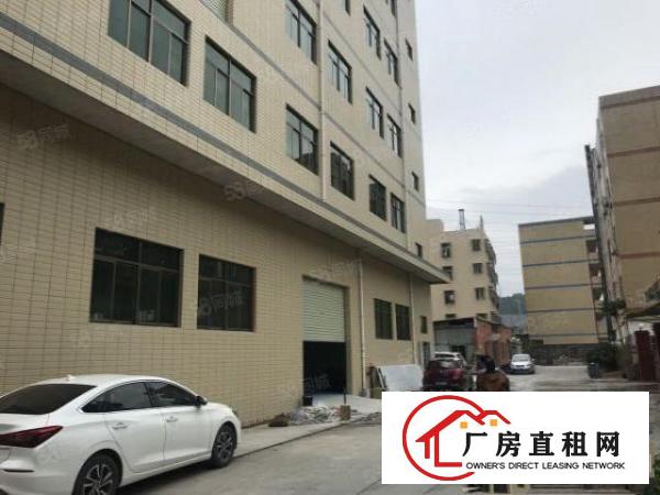 清溪全新一楼950平方米厂房出租，原房东！！！