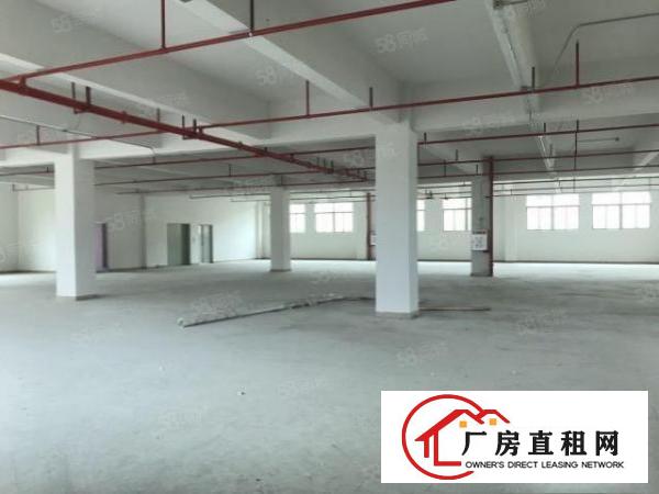  清溪全新一楼950平方米厂房出租，原房东！！！