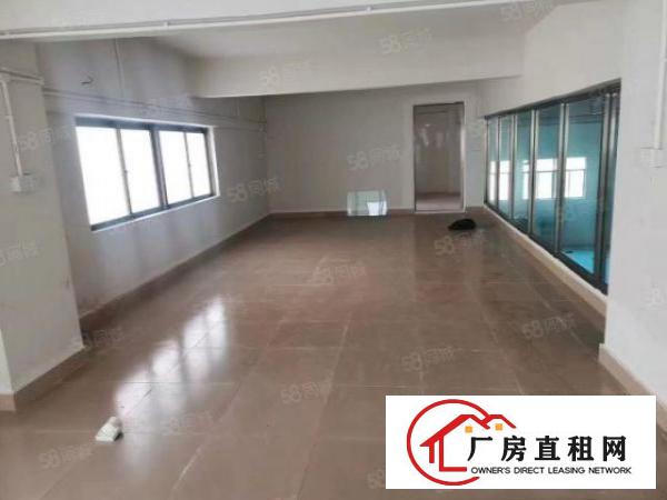  清溪全新一楼950平方米厂房出租，原房东！！！