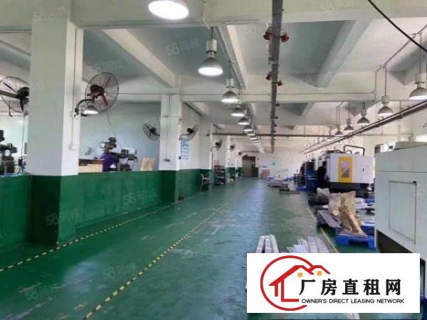  清溪镇花园式厂房出租，带豪华精装修(可做电池)