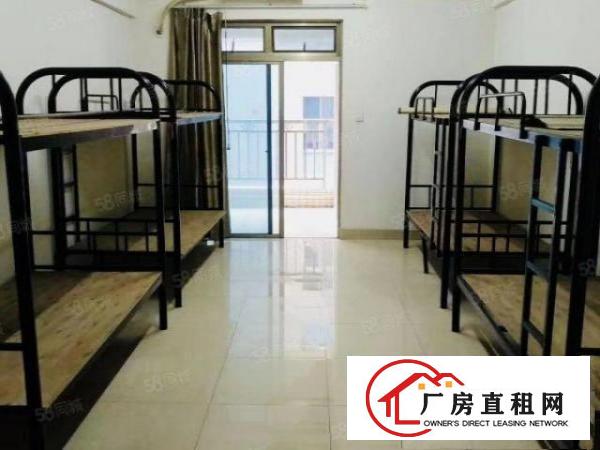 原房东花园式标准厂房出租