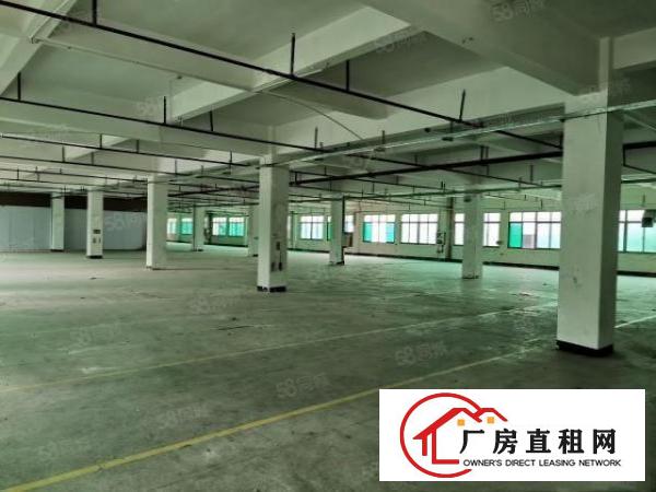  清溪三中原房东带楼上3300平整层现成办公水电齐全（可分租）