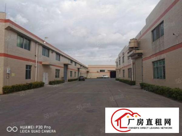  清溪镇新出9米高单一层厂房9850平米低价出租，可分租