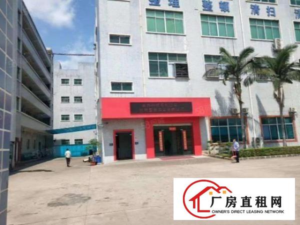  清溪谢坑新出一楼1200平二楼800平厂房出租分租带装修