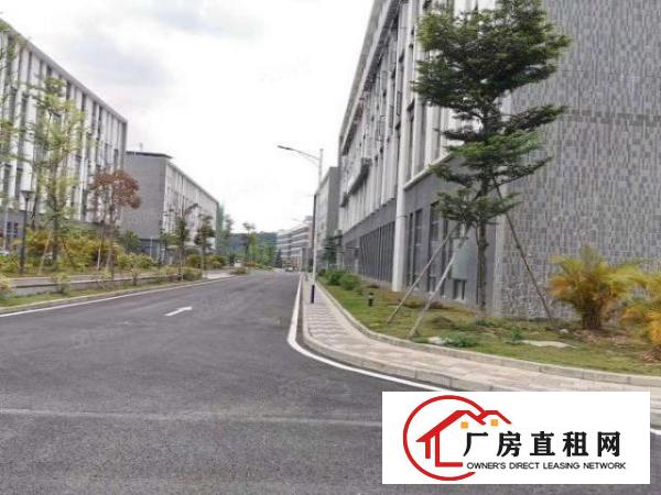  原房东无公摊清溪新出一楼1600平方带装修厂房急租