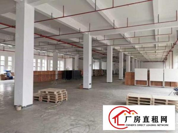  原房东无公摊清溪新出一楼1600平方带装修厂房急租