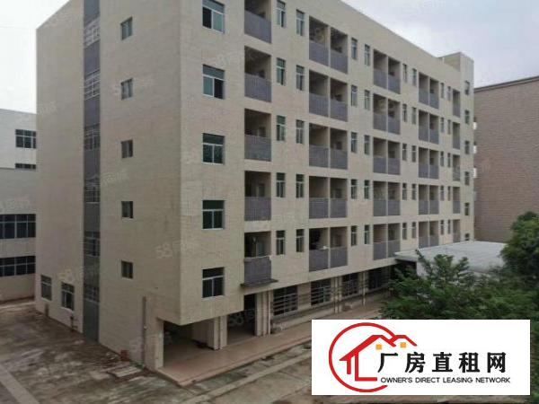  清溪原房东500平方起租，报价10元起