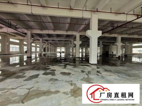  清溪原房东500平方起租，报价10元起