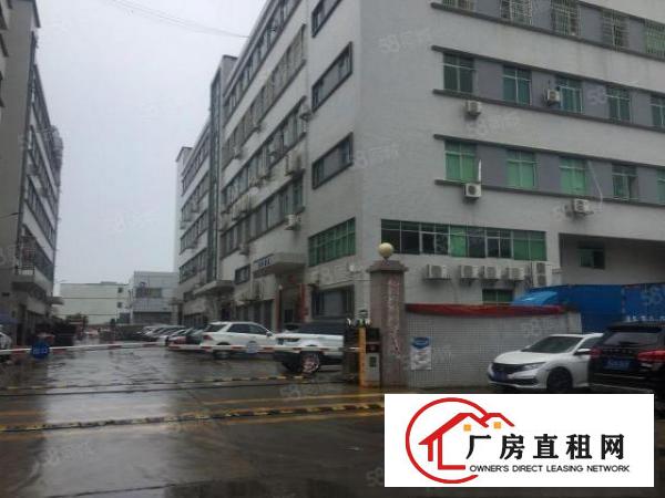  清溪三中新出标准一楼7米高厂房1600平，带牛角行车