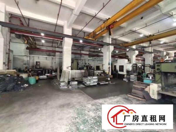  清溪三中新出标准一楼7米高厂房1600平，带牛角行车