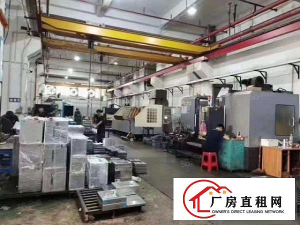  清溪三中新出标准一楼7米高厂房1600平，带牛角行车