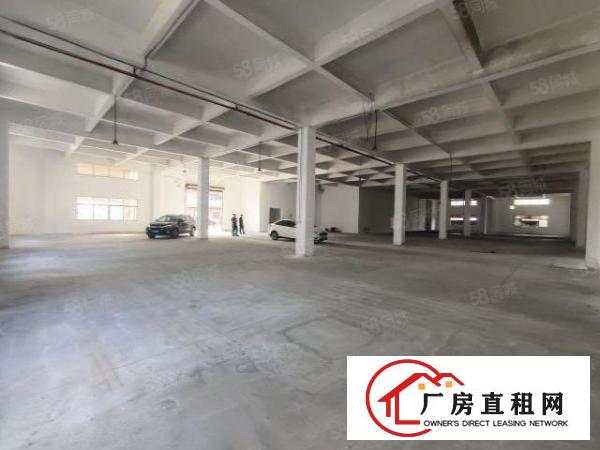  清溪浮岗标准一楼1300平招租现成装修可分租可办环评