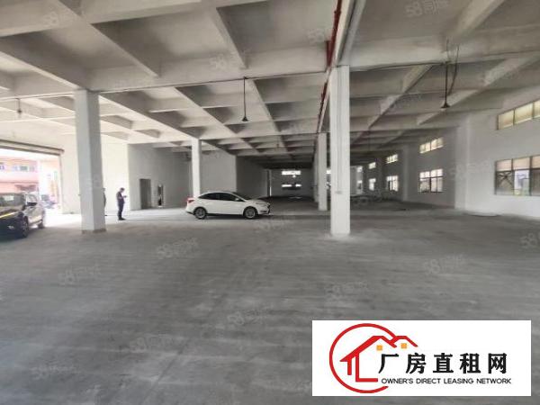  清溪浮岗标准一楼1300平招租现成装修可分租可办环评